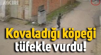 Bursa'da sokak köpeğine yapılanlar güvenlik kamerasına böyle yansıdı