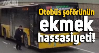 Esenyurt'ta otobüs şoförünün yolda gördüğü ekmek parçalarını topladığı anlar