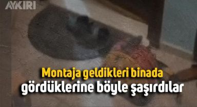 İstanbul'da montaja giden ustaların, yangın merdiveni şaşkınlığı
