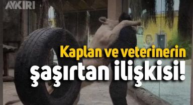 Aslan ve veteriner hekimin şaşırtan ilişkisi
