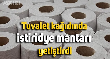 Tuvalet kağıdı rulosunda mantar yetiştirdi, tarifiyle o anları paylaştı