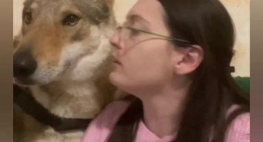 Sahiplerinin sevgisi ile sınan köpek tavır aldı, kadının kendisini öpmesine izin vermedi