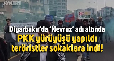 Diyarbakır'da skandal görüntüler. Nevruz kutlaması adı altında teröristler sokaklara indi