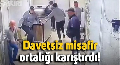 Atölyede sohbet eden 7 erkeğin davetsiz misafiri ortalığı karıştırdı