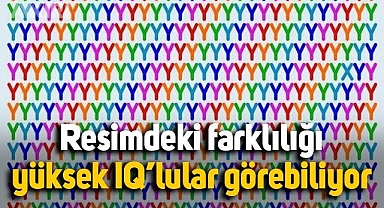 Bu resimdeki farklılığı yalnızca yüksek IQ’lu insanlar görebiliyor