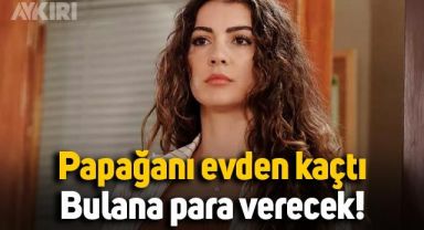 Burcu Özberk’in papağanı evden kaçtı: Bulana para ödülü verilecek