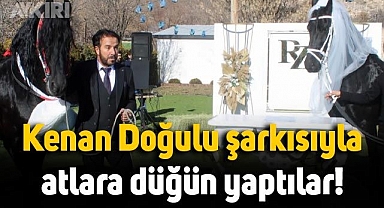 Kayseri'de Kenan Doğulu şarkısıyla atlar için nikah töreni yaptılar