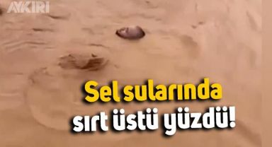 Şanlıurfa ve Adıyaman'ı sel vurdu: Can kaybı 14'e yükseldi