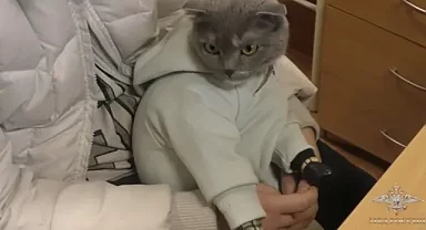 Bebek tulumunun içinden kedi ve uyuşturucu çıktı