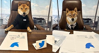 Elon Musk, Twitter'a CEO olarak köpeği Floki'yi atadı