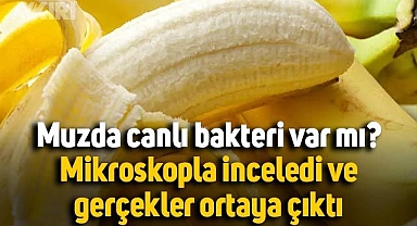 Muzda canlı bakteri var mı? Türk yayıncı mikroskopla inceledi ve gerçekler ortaya çıktı