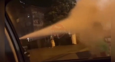 Yol kenarındaki kadına Çalışıyor musun? diye sorup yangın söndürme tüpü sıktılar
