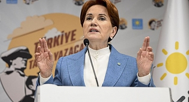 Akşener'den istifalar sonrası ilk açıklama: Seçilirken bir sorununuz yoktu