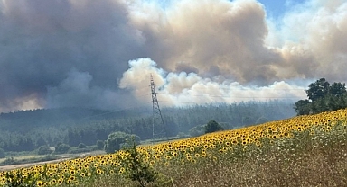 Bursa'da makilik alanda çıkan yangın ormana sıçradı