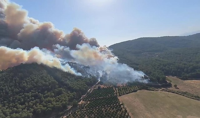 Çeşme ve Torbalı'daki yangınlar kontrol altına alındı