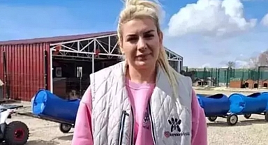 Hastalık taşıdığı iddia edilen köpekleri Şanlıurfa'dan Ankara'ya getirdiği için yargılanan Buket Özgünlü Boyacı tahliye edildi