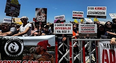Hayvanseverlerden protesto: