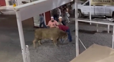 Kapalı arenadan kaçan boğa, dehşet saçtı: Kadını havaya fırlattı!