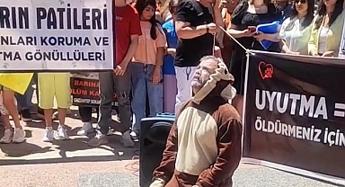Kilis'te köpek kostümü giyerek gösteri yapan hayvansever