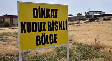 Şanlıurfa'da bir 'Kuduz' vakası daha! Mahalle karantinaya alındı
