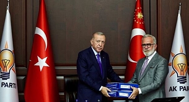 Sahipsiz sokak köpekleri ile ilgili rapor Erdoğan'a sunuldu!