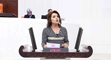 CHP'li vekil Gülcan Kış: Son 5 yılda 2.3 milyon üniversite öğrencisi okulu bıraktı!