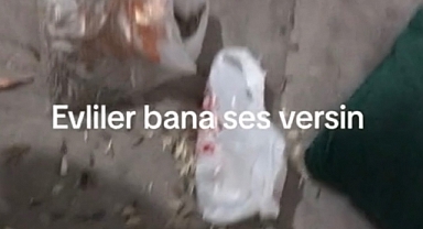 Çocuklarını parka götüren anne, eve dönünce gördüklerine inanamadı!