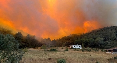 İçişleri Bakanlığı, yangın bilançosunu açıkladı!