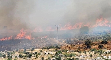 İzmir'de orman yangını: 2 mahalle tahliye edildi!