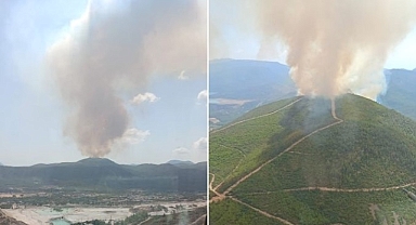İzmir Menderes'te orman yangını başladı!