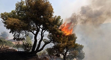 Yunanistan'da orman yangınları sürerken Atina çevresinde tahliye uyarısı yapıldı