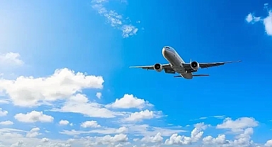 Yolcunun yemeğinden fare çıktı, uçak acil iniş yaptı!