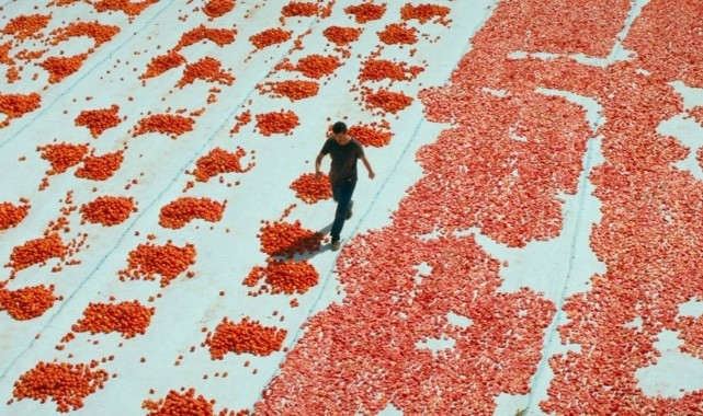 Türkiye'nin Oscar adayı filmi belli oldu