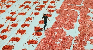 Türkiye'nin Oscar adayı filmi belli oldu