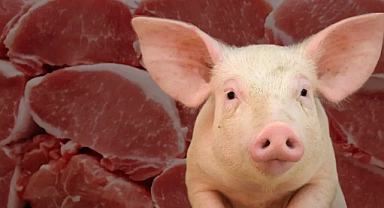 e-Devlet’te yeni özellik: Domuz eti kullanan işletmeler artık görülebilecek