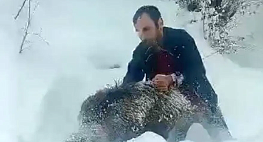 Eliyle domuz yakalayan vatandaşa şok: 15 bin lira ceza yedi