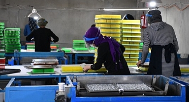 40 meslekte daha Mesleki Yeterlilik Belgesi zorunlu oldu. Belgesi olmayan çalışamayacak