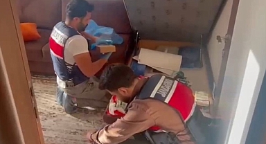 Vize soruşturmasında yeni gelişme! 37 kişi tutuklandı