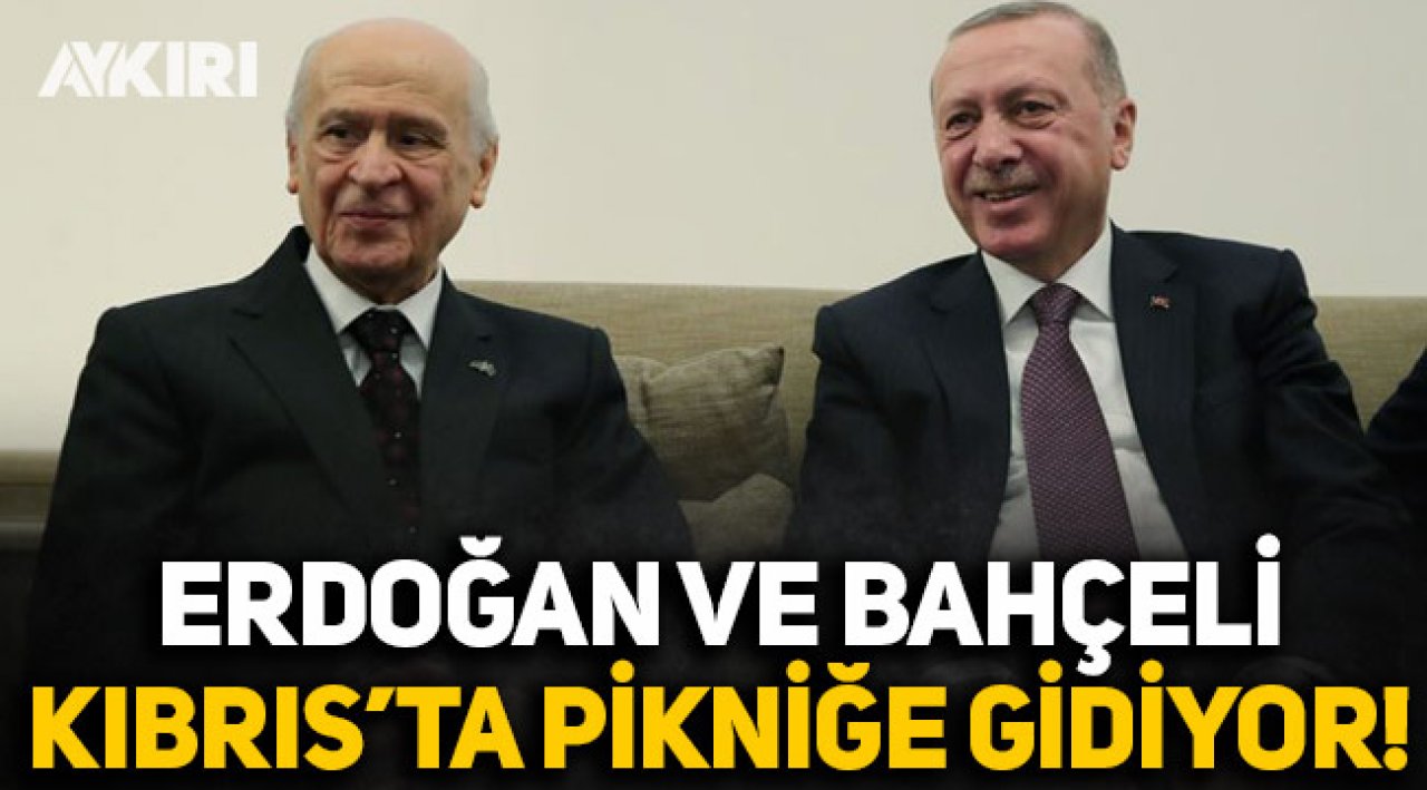 Bahçeli Erdoğan Kıbrıs