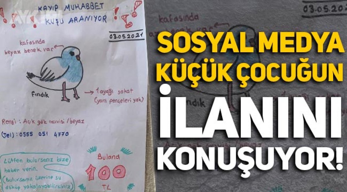 Sosyal Medya Muhabbet Kusunu Kaybeden Rumeysa Nin Ilanini Konusuyor Gundem Aykiri Haber Sitesi