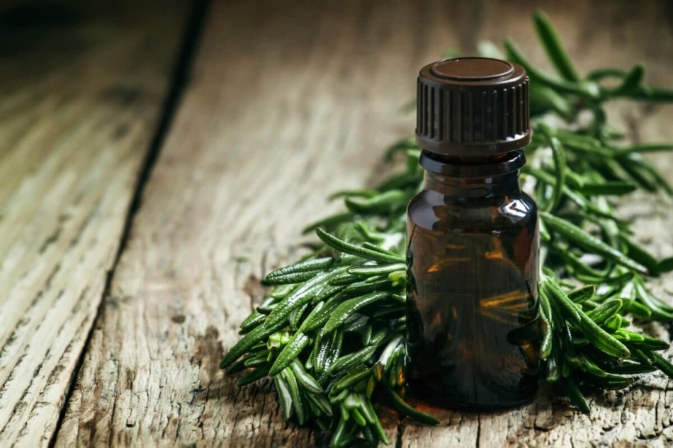 Alternatif Tıp | Aromaterapi nedir, hangi yağlar kullanılır? 5