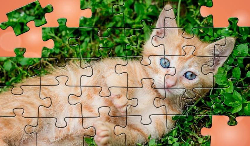 Son günlerin en popüler hobisi | Puzzle nasıl yapılır, faydaları nelerdir? 4