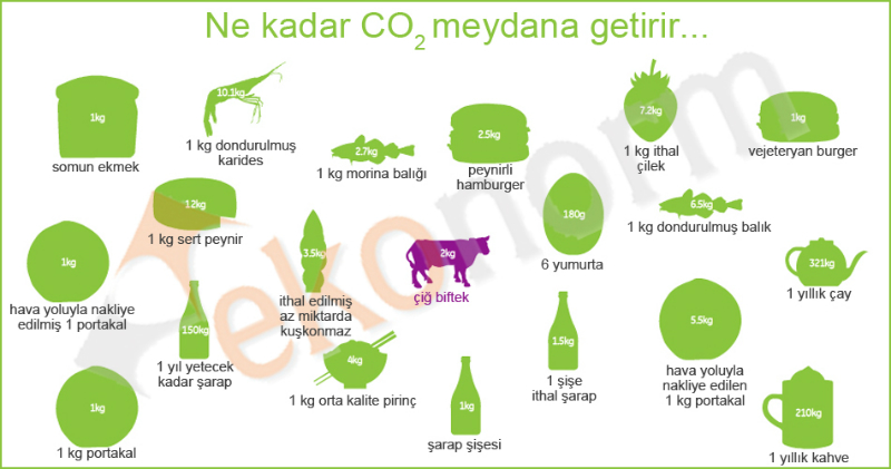Çevresel günahımız | Karbon ayak izi nedir, neler yapılabilir? 3