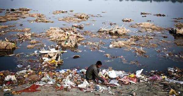 Dünya Çevre Günü'nde doğadan unutulmayan görüntüler  9