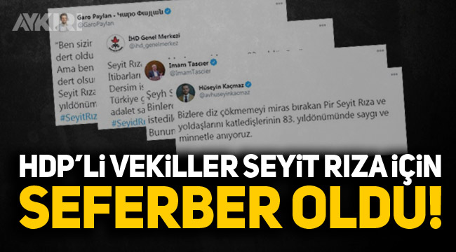 HDP'li Vekiller Seyit Rıza için seferber oldu! 1
