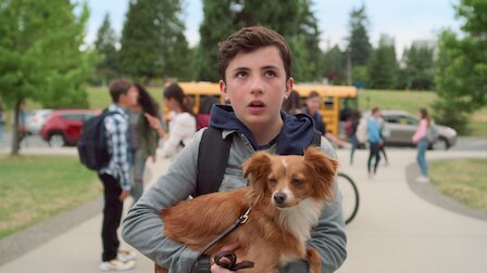 Tam kapanmada izlenebilecek 9 film, aileyle izlenebilecek film önerileri! 11